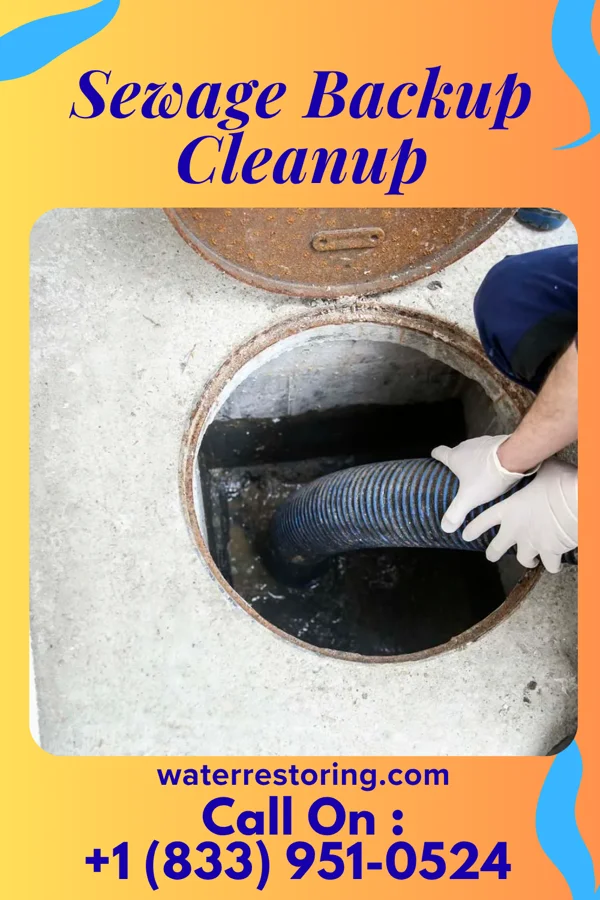 Sewage Backup Cleanup in Lonsdale, MN