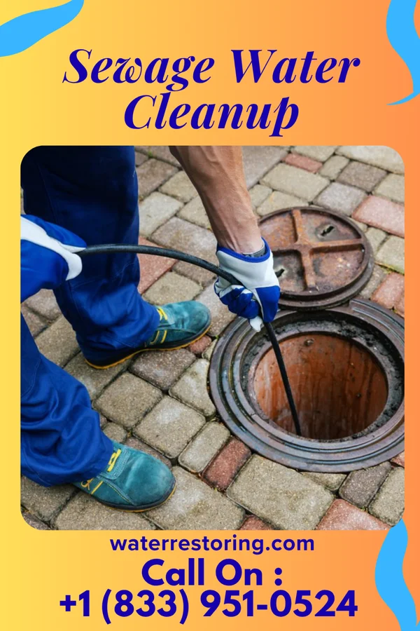 Sewage Water Cleanup in Lonsdale, MN